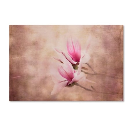 Jai Johnson 'Pink Magnolia 3' Canvas Art,12x19